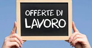 Offerta di lavoro per operatore di traslochi